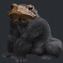 discord discord compatible frog frogs funny frog