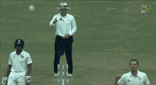 Cricket Umpiring Game GIF