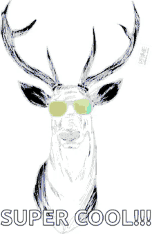 boom headshot gif deer