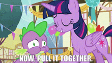 Mlp Twilight Sparkle GIF - Mlp Twilight Sparkle Now Pull It Together GIFs
