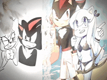 a drawing of shadow the hedgehog and a girl