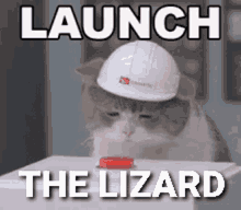 Launch The Lizard Dungeons Lizard GIF
