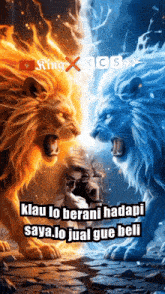 a king x kcs advertisement with two lions
