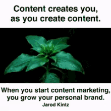 Marketing Content GIF - Marketing Content Personal Branding GIFs