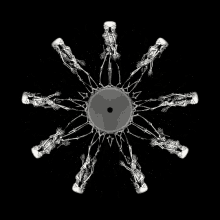 a circular pattern of skeletons dancing around a drum on a black background