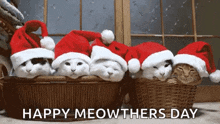 Holidays Christmas GIF - Holidays Christmas Kitten GIFs