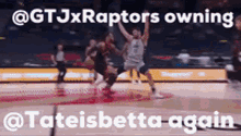 Gt Jx Raptors Tateisbetta GIF - Gt Jx Raptors Tateisbetta GIFs