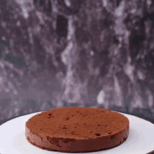 a chocolate cake on a white plate with a dark background