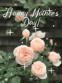 a happy mother 's day greeting card with roses and the words `` happy mother 's day ! ''