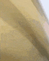 a blurry picture of a yellow background with a purple border