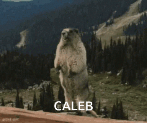 Beaver Caleb GIF - Beaver Caleb GIFs