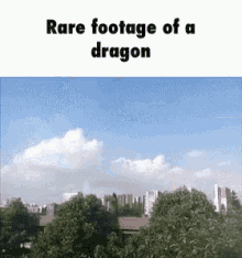 dragon rare rare dragon