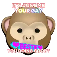 a monkey with the words it 's just me your gay on it