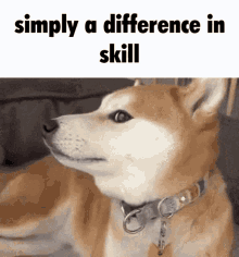 Doge Difference In Skill GIF - Doge Difference In Skill Meme GIFs