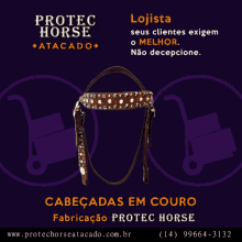Protec Horse Harness GIF - Protec Horse Harness GIFs