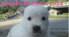 Angelic Buster Maplestory GIF - Angelic Buster Maplestory Nerf GIFs