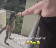 a picture of a woman feeding a monkey with the caption his monkey ass do n't want that apple