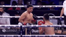Owned Ko GIF - Owned Ko Knockout GIFs