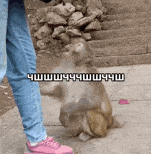 a person standing next to a monkey with a caption that starts with the letters y