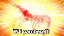 Gamberetti Crostacei Buoni Cibo Buono GIF - Shrimps Prawn Crustacean GIFs
