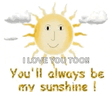 a cartoon sun with a face and the words `` i love you too ! you 'll always be my sunshine '' .