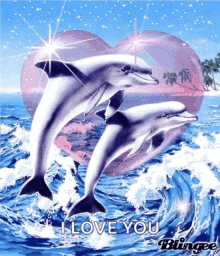 I Love You Dolphin GIF