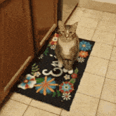 a cat is sitting on a rug with flowers and the letter o on it