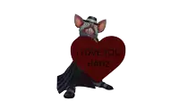 a cartoon character holding a heart that says " i love you hanz "