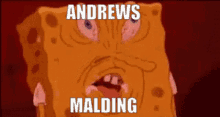 Andrew Malding GIF - Andrew Malding Andrews Malding GIFs