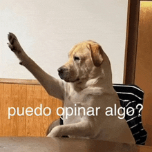 a dog sitting at a table with its paw up and the words puedo opinar algo