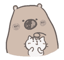 cat bear