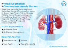 Focal Segmental Glomerulosclerosis Market GIF - Focal Segmental Glomerulosclerosis Market GIFs