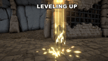 a screenshot of a video game with the words leveling up above it