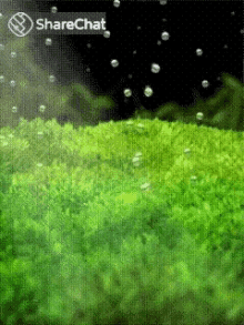 पानी बुलबुले GIF - पानी बुलबुले हरा GIFs