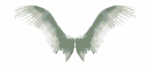 Angel Wings White Sticker - Angel Wings White Flying - Discover & Share GIFs