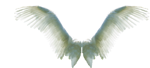 Flapping Angel Wings Gif