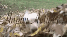 a dog is laying in a pile of leaves and says happy autumn .