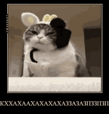 a picture of a cat wearing bunny ears and a bow tie