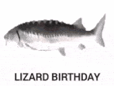 Lizard Birthday Spinning Fish GIF - Lizard Birthday Spinning Fish GIFs