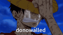 Donowall Donowalled GIF - Donowall Donowalled Luffy GIFs