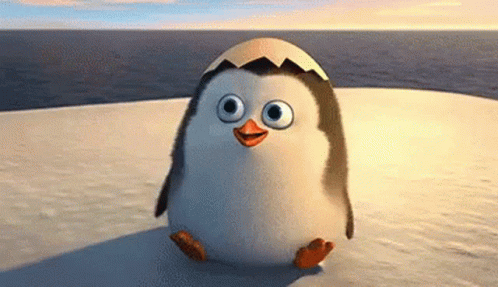 Cute Animals GIF - Cute Animals Penguin - Discover & Share GIFs