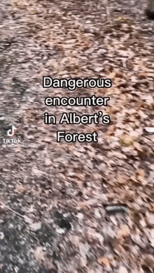 undertimeslopper undertime dangerous encounter alberts forest nigel