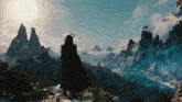 a man in a black cape stands on top of a mountain