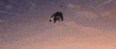 a moth is flying through the air in a sunset sky .