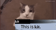 This Is Kit This Is Thancred GIF - This Is Kit This Is Thancred This GIFs
