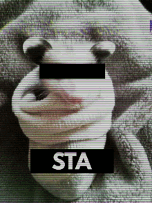 Sta Seal GIF - Sta Seal Team GIFs