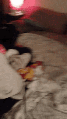 Laundry Doing GIF - Laundry Doing Dogs GIFs