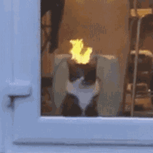 funadisimo kitty cat flame