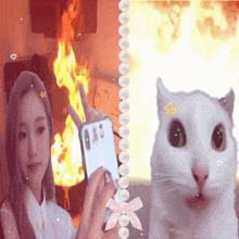 a woman taking a picture of a cat with a star on its forehead