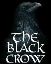 a poster for the black crow shows a black bird